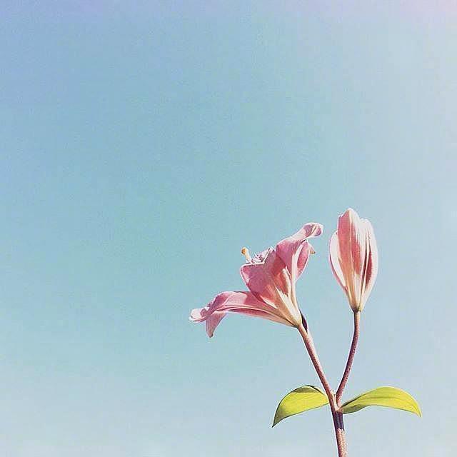 生活感悟类句子-图片5