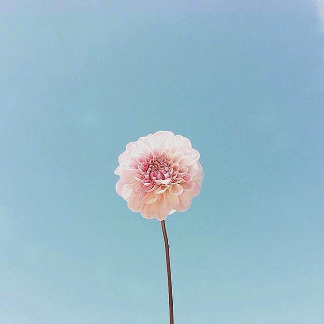 生活感悟类句子-图片4