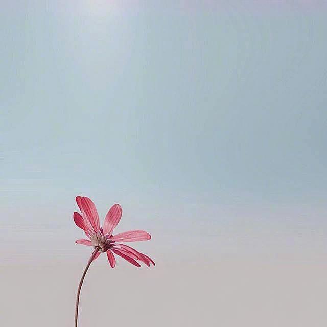 生活感悟类句子-图片3