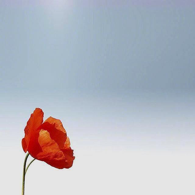 生活感悟类句子-图片1