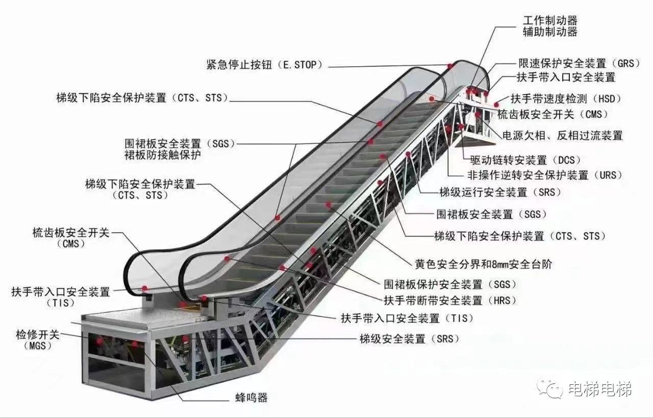 电梯作业人员考试题库